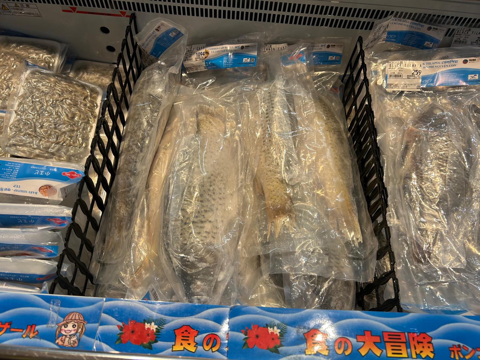 Mission & Vision Banner